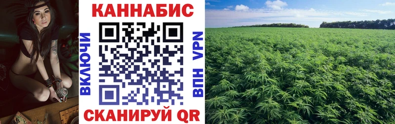 магазин    Суоярви  Каннабис MAZAR 